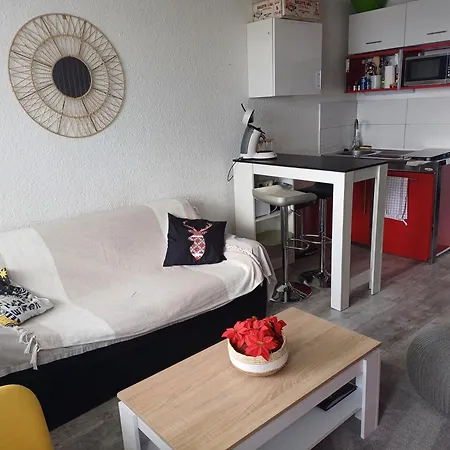 Pra Loup Près Des Pistes Appartement